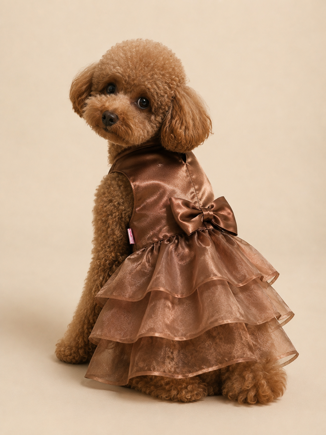 Glam Mocha Ruffle Dress