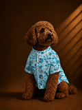 Royale Blue Floral Kurta