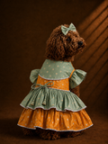 Sage Royale Anarkali