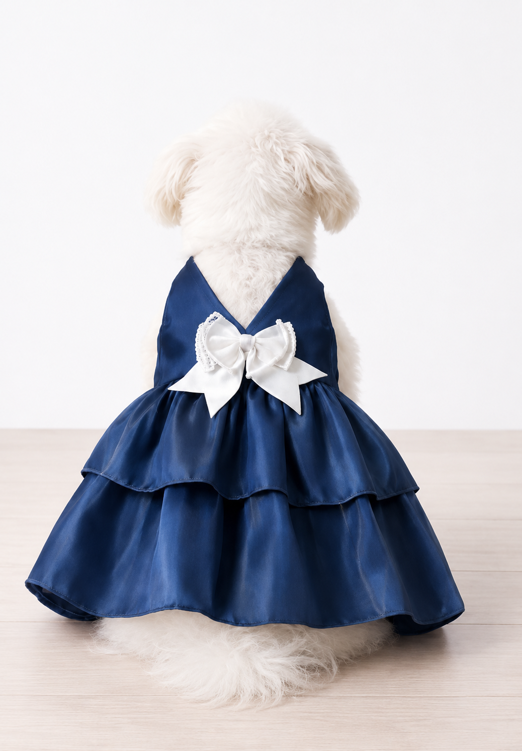 Midnight Princess Pet Party Dress