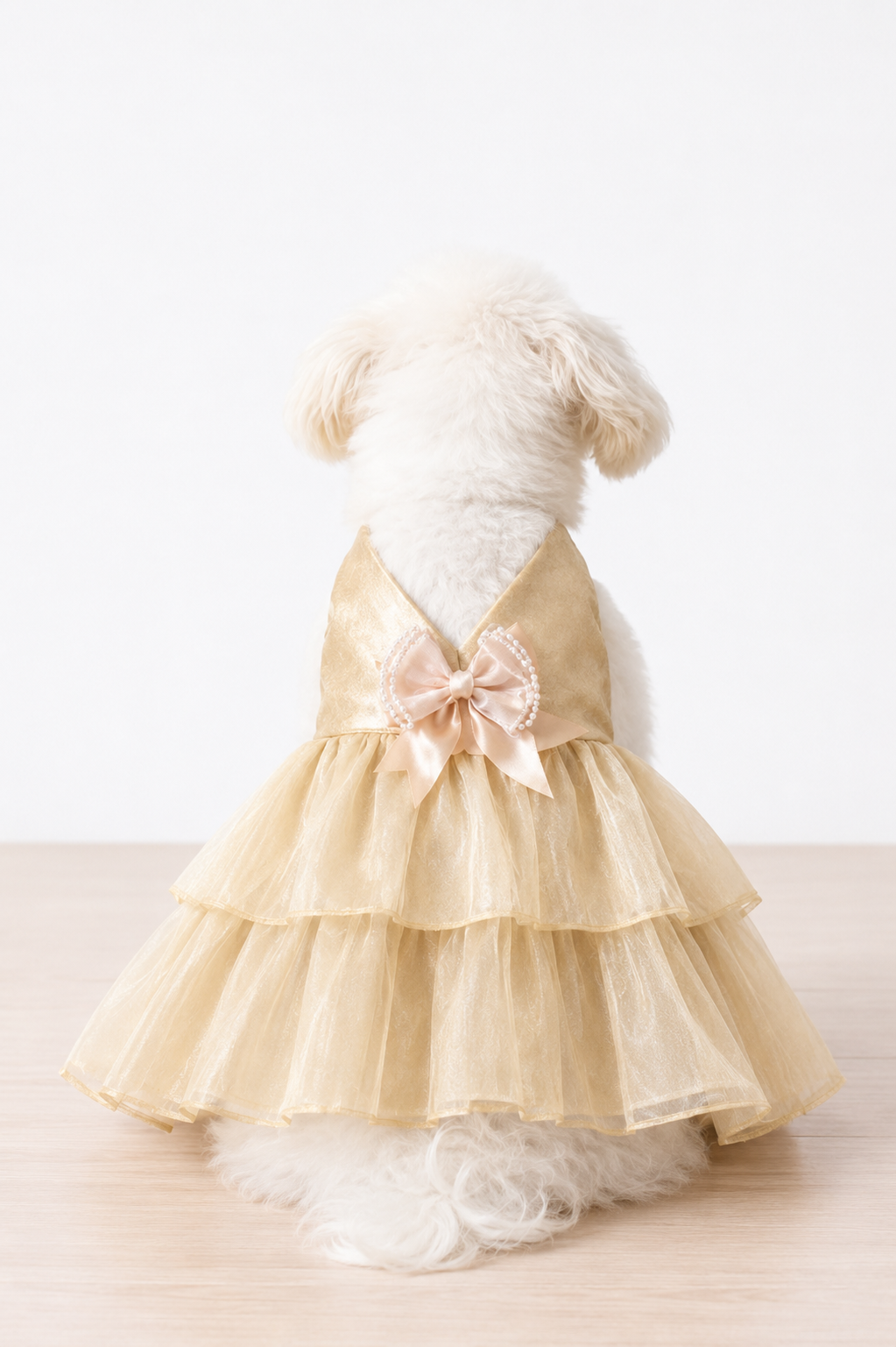 Golden Fairy Party Pet Dress