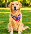 Pet Heart Bandana – Soft Cotton Neck Scarf for Dogs & Cats