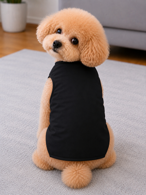 Classic Black Pet Tuxedo