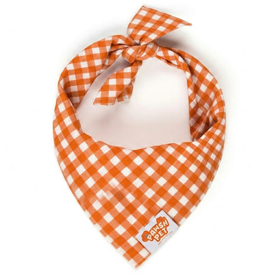 Autumn Gingham Bandana