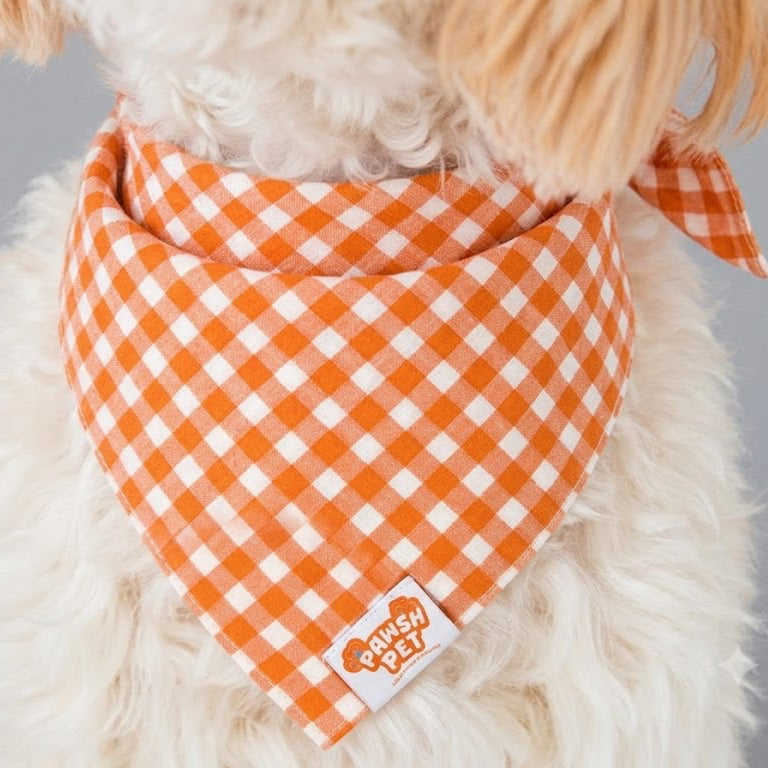 Autumn Gingham Bandana
