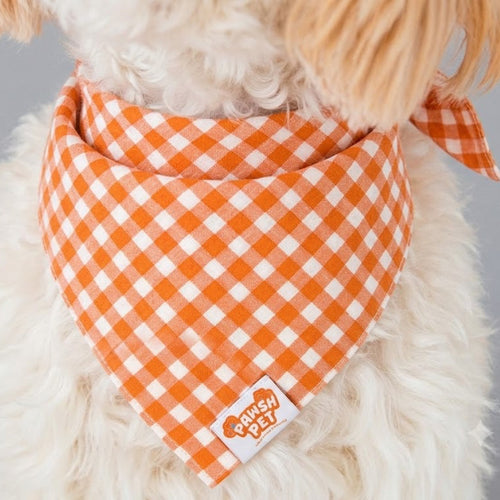 Autumn Gingham Bandana