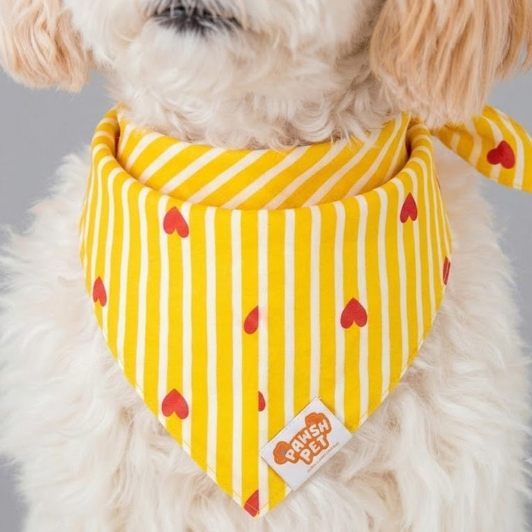 Sunny Hearts Bandana