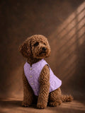 Lavender Royale Sherwani