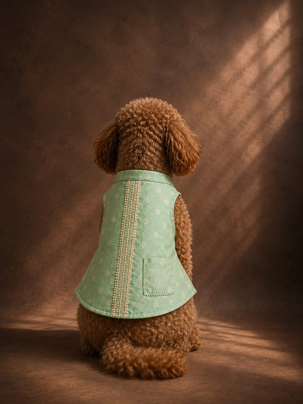 Pista Royale Sherwani