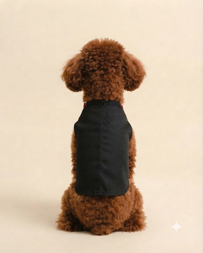 Midnight Charm Tuxedo