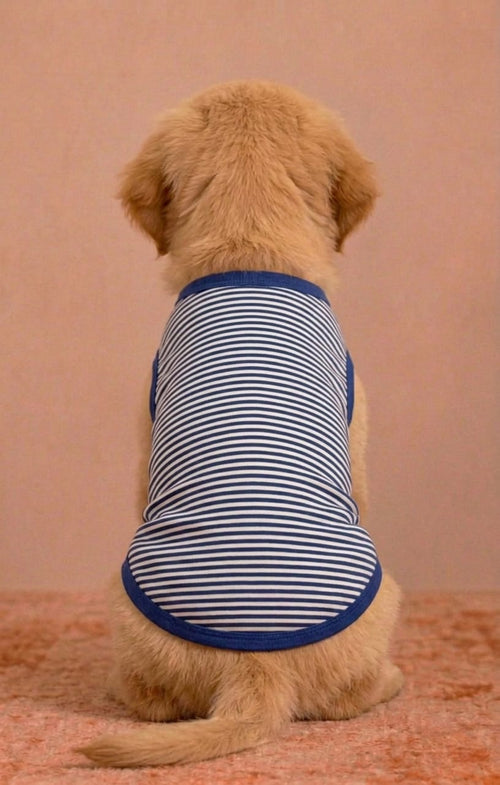Blue Stripe Pet Tshirt