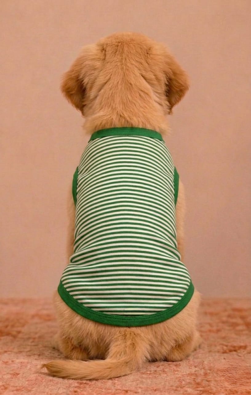 Green Stripe Pet Tshirt