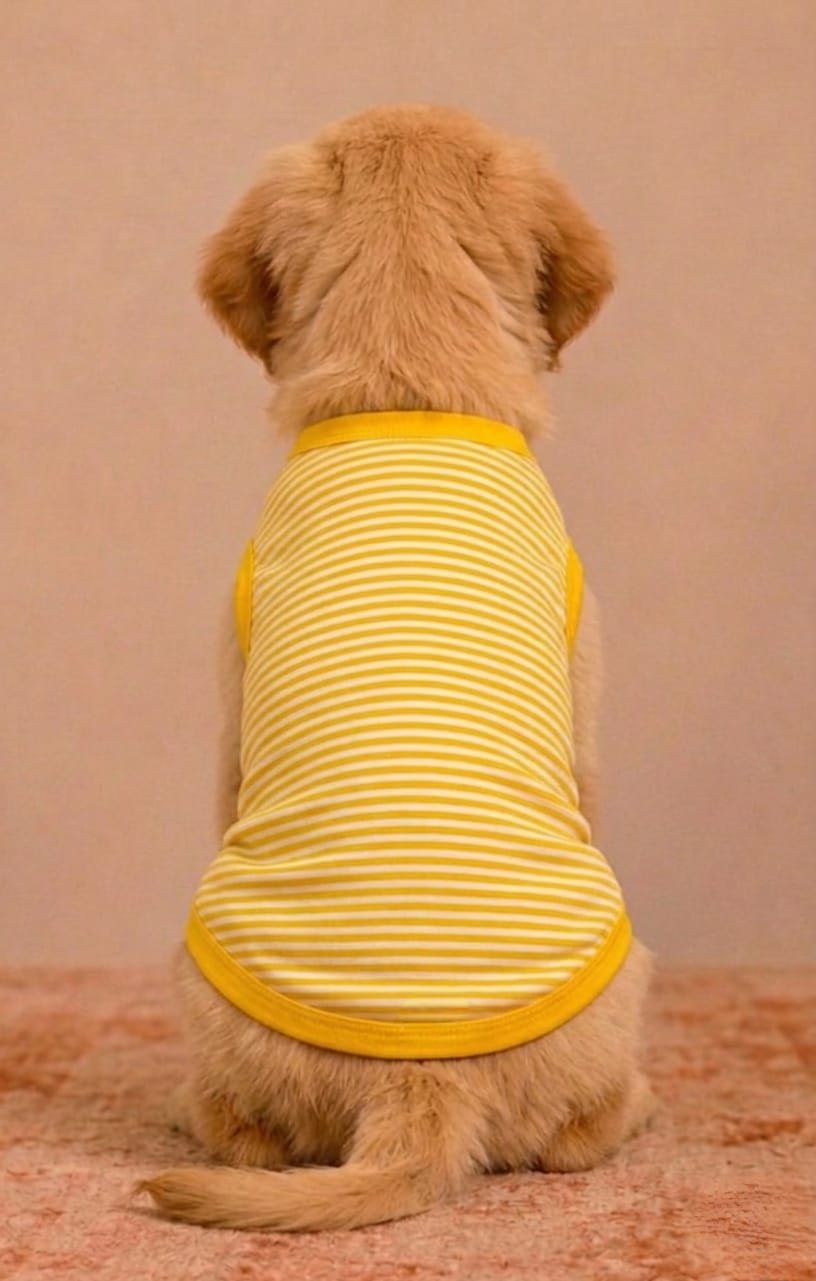 Yellow Stripe Pet Tshirt